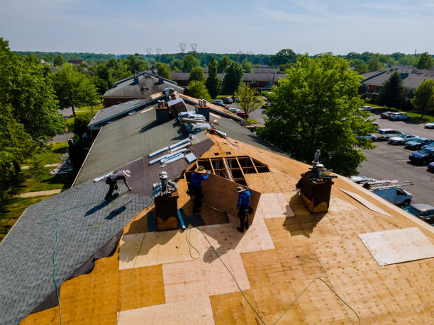 Best Residential Roofing Contractor  in Fruitport, MI